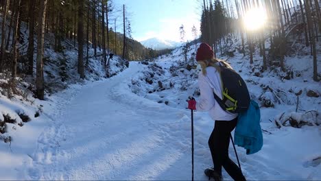 a girl walking uphill in winter scenery