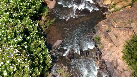 Aerial-drone-shot-of-a-river-in-the-jungle-of-South-Africa