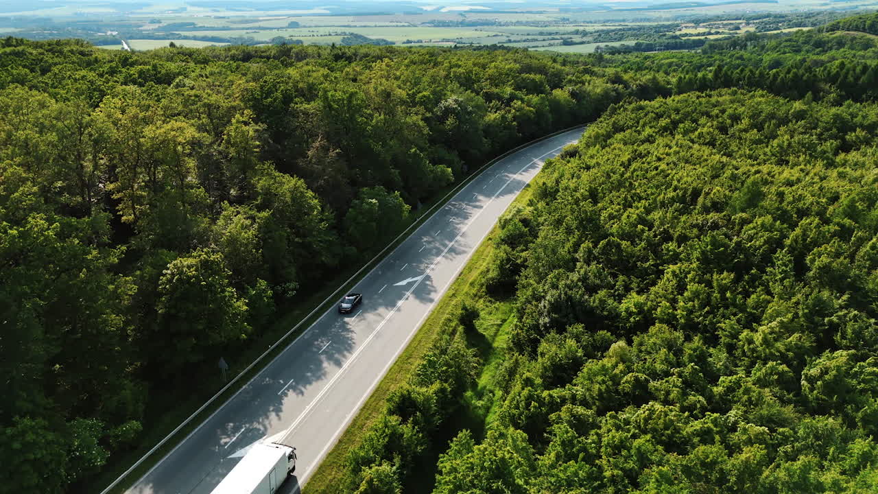 Winding road in green forest. A scenic road curves through a vibrant green forest, showcasing trees and nature in bright daylight