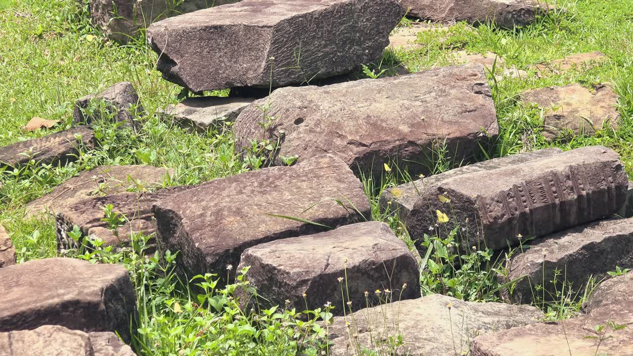 mariposas y rocas antiguas en la hierba