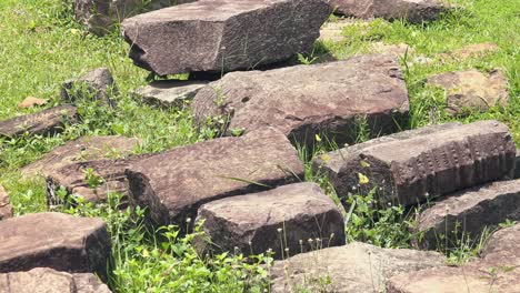 Schmetterlinge-Und-Alte-Felsen-Im-Gras