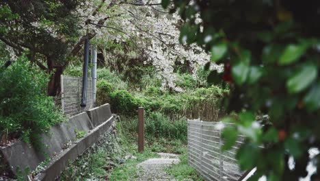 Pathway-surrounded-by-lush-greenery-and-blooming-flowers