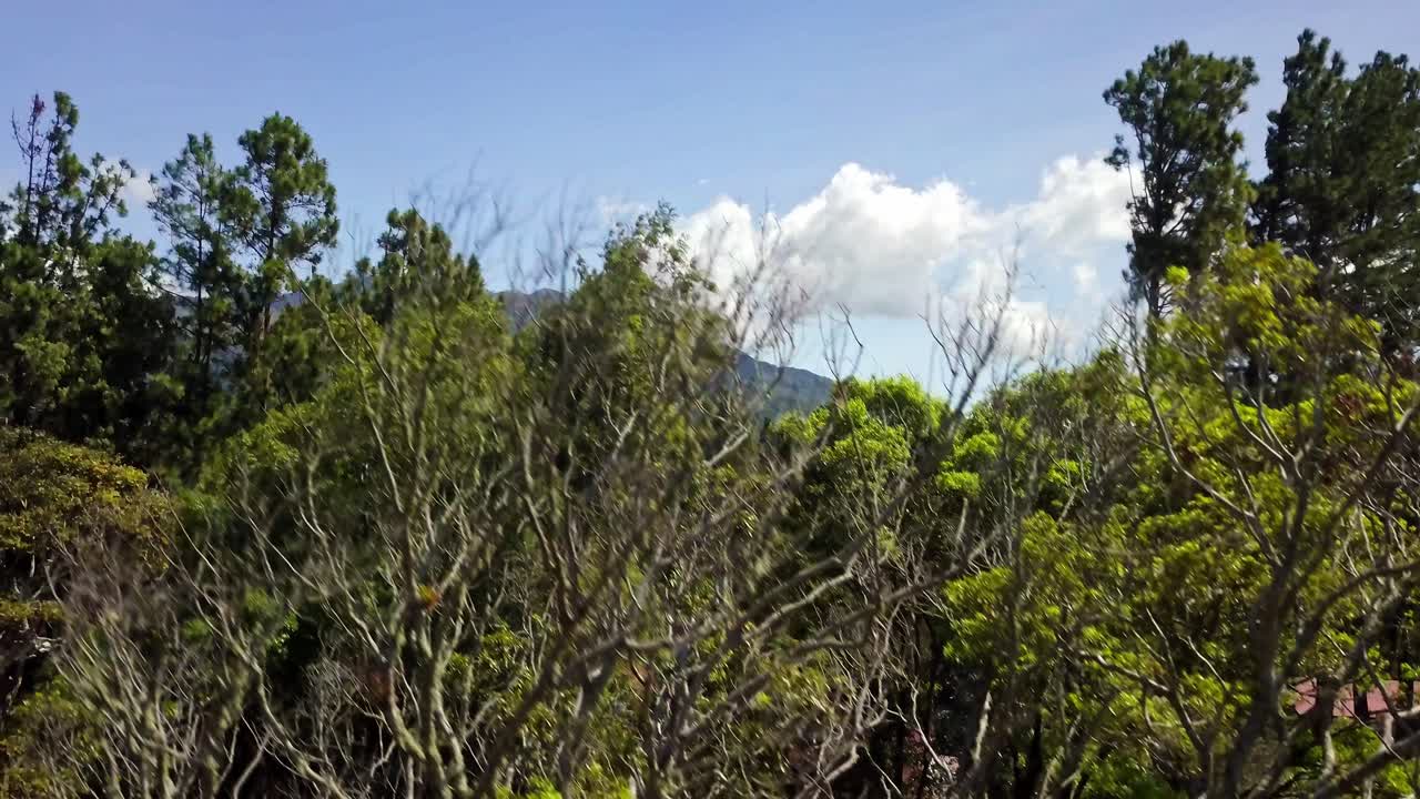 vista aérea de las tierras altas de la provincia de chiriquí y la ciudad de boquete, panamá