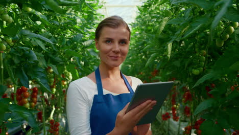 botanical scientist doing research tablet cultivation tomatoes in greenhouse