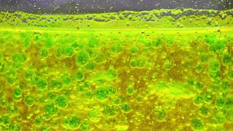 watch the dynamic interaction of green and yellow bubbles in a liquid environment.