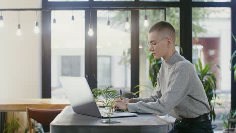 young woman working on laptop in a cafe