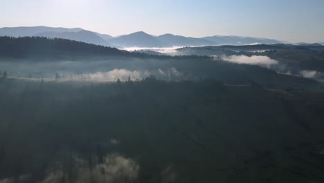 flight over mountains covered with dense forests and thick fog