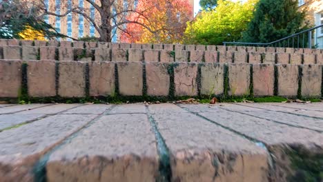 escalones de ladrillo y camino en el entorno de otoño