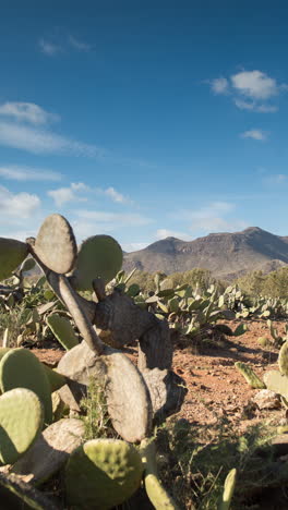 atlas-mountains,-morocco-in-vertical