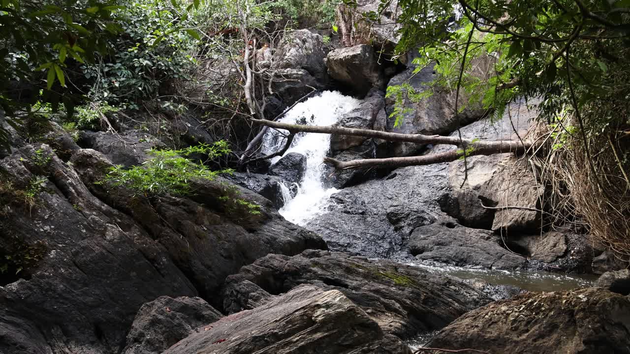 cascada de agua en medio de un paisaje de bosque verde
