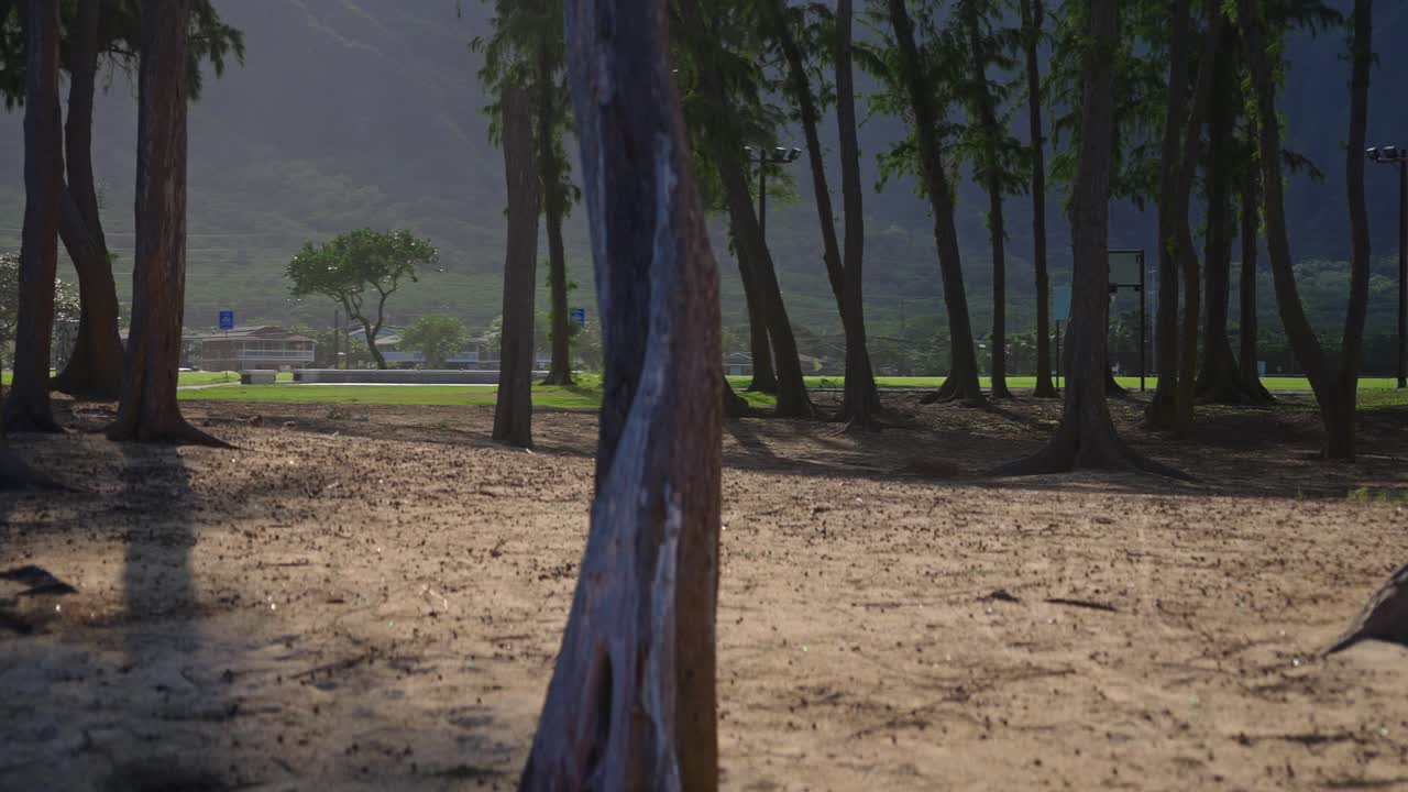 un bosque de arena con un parque y montañas al fondo