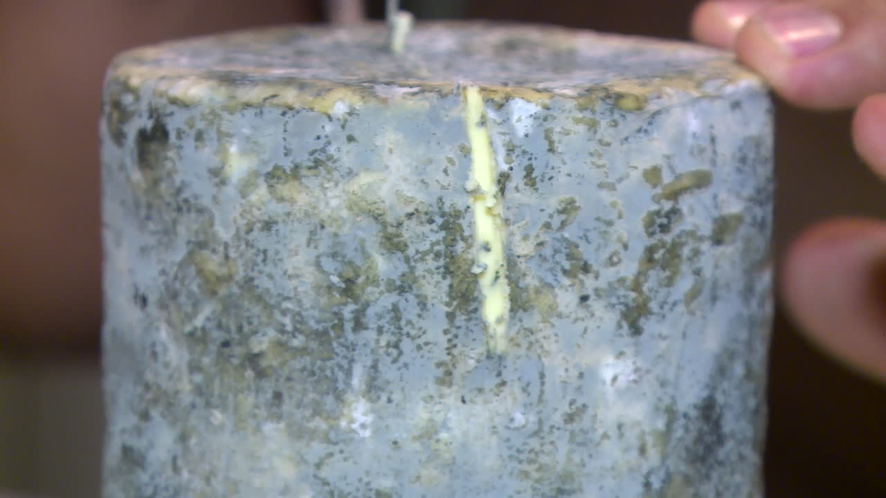 Blue Cheese Close-up