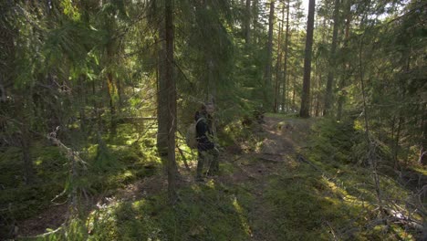 Woman-walking-in-a-forest-with-a-backpack-and-sunny-autumn-weather