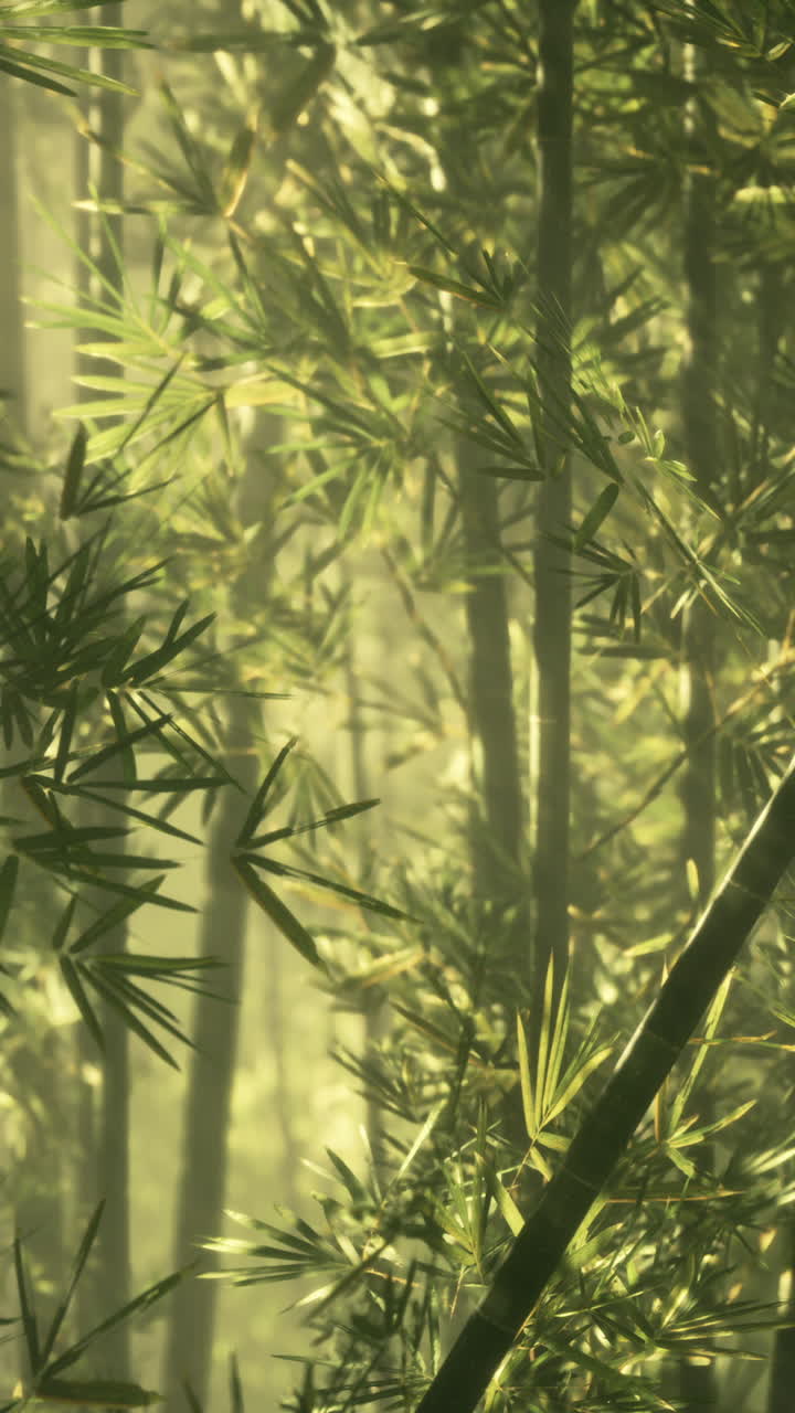 el bosque de bambú verde y exuberante