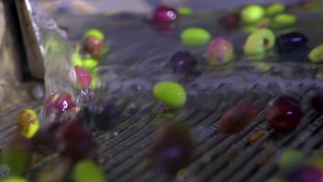 images of olives washed in olive oil factory