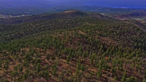 Berg-Völlig-Mit-Bäumen-Bedeckt,-Unter-Einem-Bewölkten-Himmel