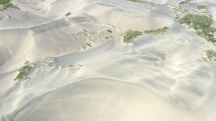 Dune accanto all'oceano