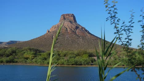 Establishing-Shot,-Plant-weaving-by-the-wind-in-la-Purisima,-Baja-California-sur,-Mexico,-Scenic-view-of-the-river-and-El-Pilón-mountain-in-the-background