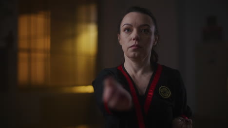 woman practicing martial arts