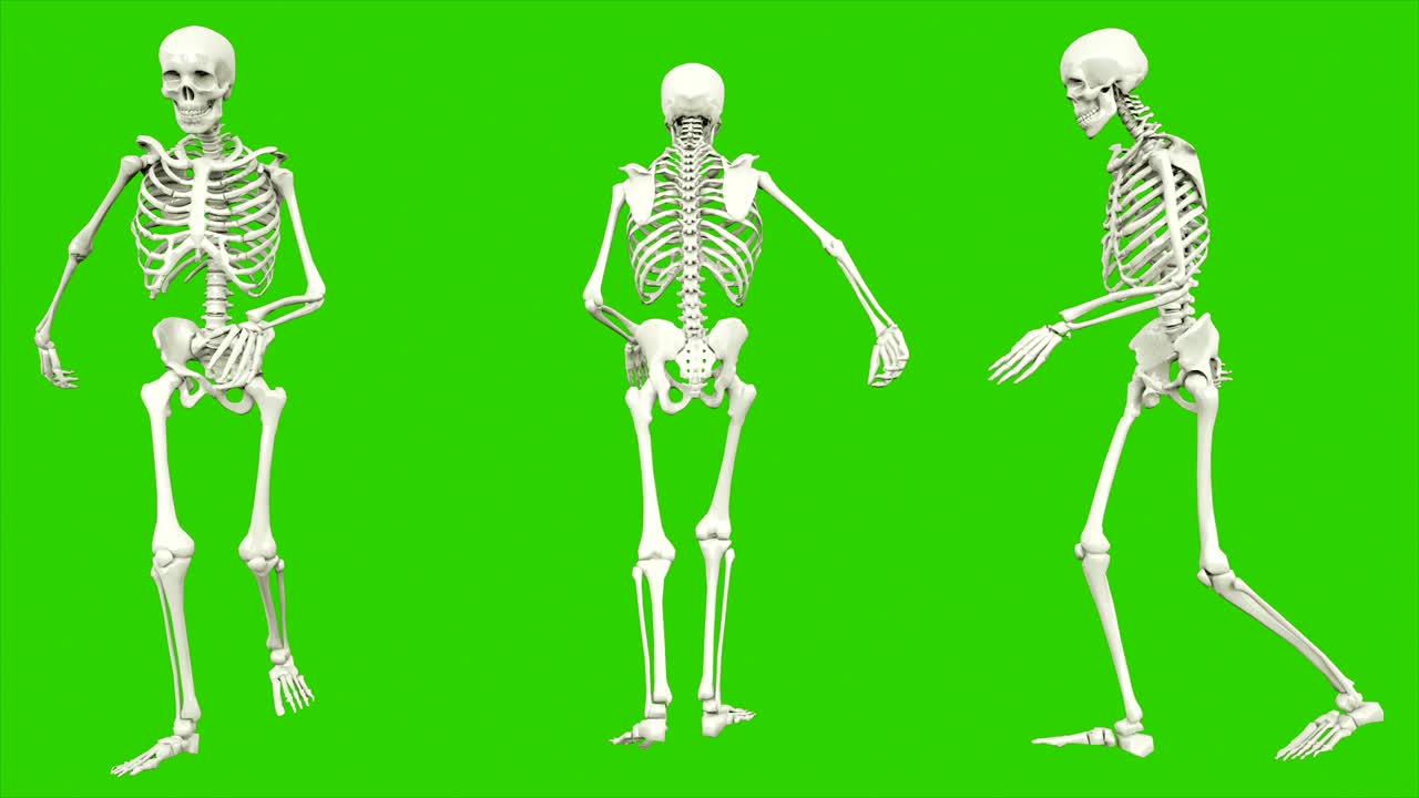 Skeleton moonwalk. Seamless loop animation on green screen.