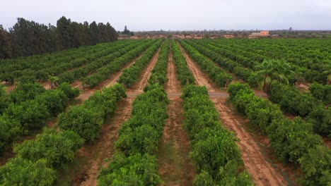 Mundo-Natural-De-La-Vida-Campesina-A-Través-De-Impresionantes-Imágenes-De-Drones-De-Viajes,-Que-Capturan-La-Belleza-Rústica-De-Los-Paisajes-Rurales,-Las-Culturas-Tradicionales