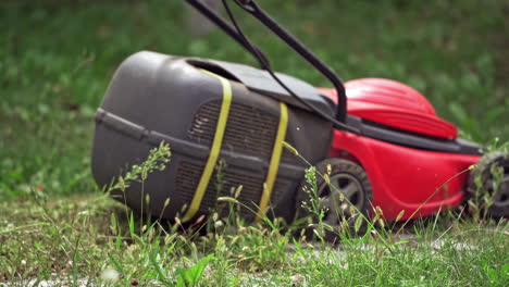 man mowing the grass. outdoor worker working on mowing the lawn
