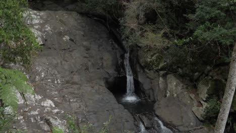 Cascadas-Del-Monte-Cougal-Junto-A-La-Selva-Tropical---Piscina-De-Roca-Currumbin-Y-Cascada---Costa-Dorada,-Qld,-Australia