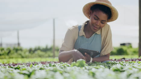 woman farmer inspecting crops with tablet