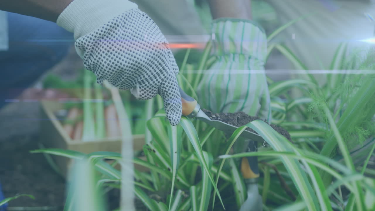 video de luces azules sobre mujer biracial trabajando en el jardín