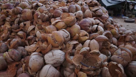 large pile of coconut husks