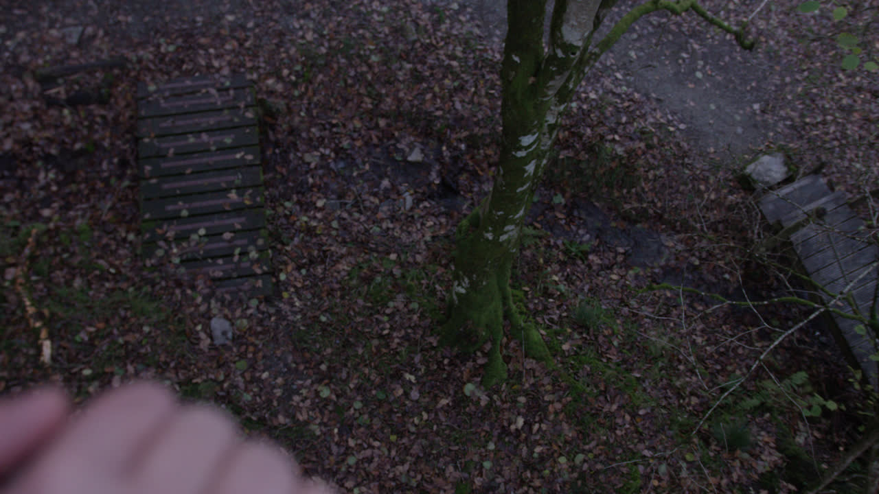 다리의 밧줄에 손을 잡고 가장자리를 바라보며