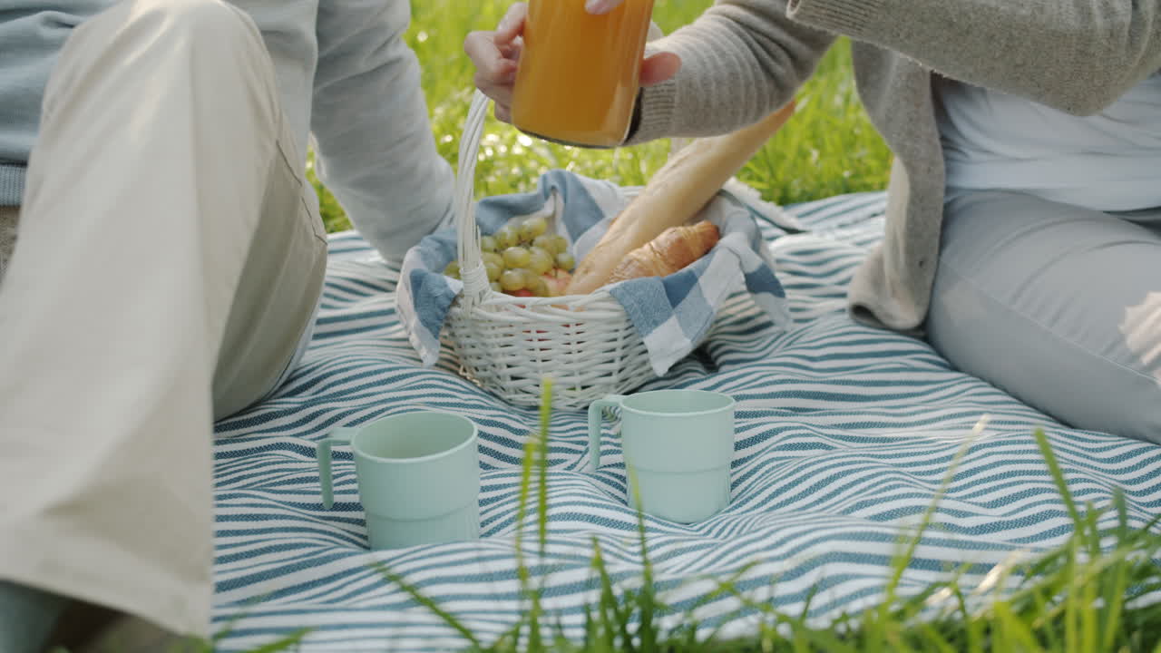 Senior Couple Enjoying a Picnic