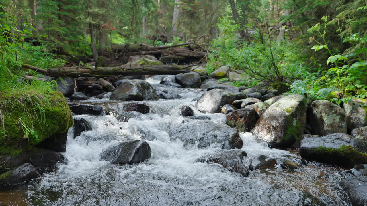 Air terjun hutan mengalir lembut melalui bebatuan dan latar hutan yang tenang