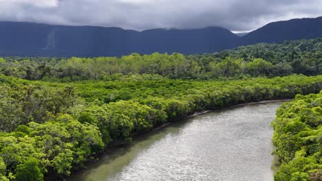 drone camera glides above a winding river through lush, dense rainforest under cloudy skies, revealing vibrant greenery and dramatic mountain backdrop in daylight