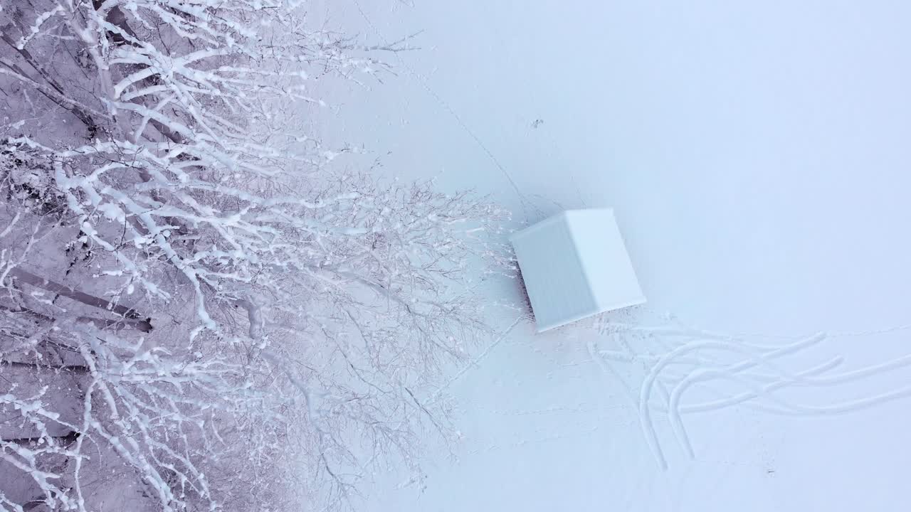 Aerial: zenital shot of a snowy cabin in the Alps by a tree