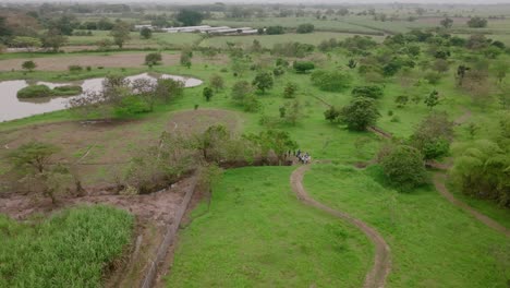 Wide-aerial-rotating-footage-that-focuses-on-a-group-of-people-on-a-nature-walk