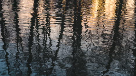 scenic wide shot of tree reflections on the calm lake water at golden hour