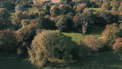 Naturaleza-Otoñal-Cerca-De-La-Ciudad-Comercial-De-Wymondham-En-Norfolk,-Inglaterra,-Reino-Unido