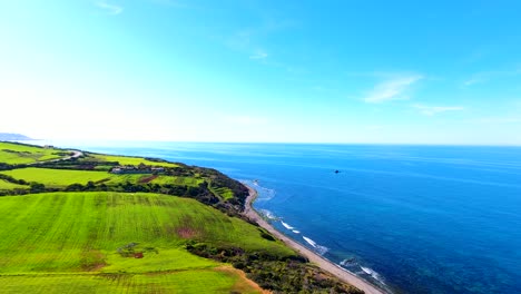 aerial drone shot of agricultural wheat fields