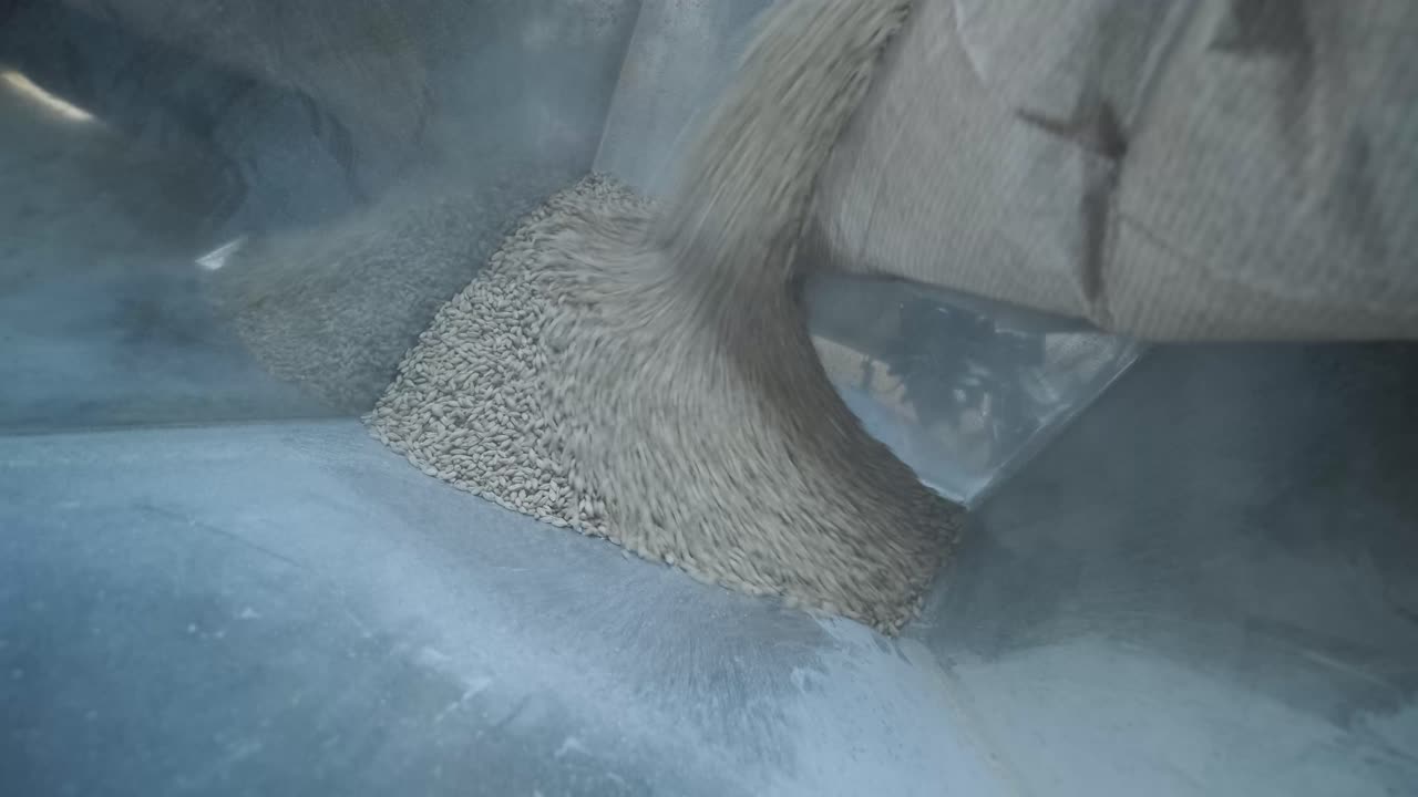 현대적 인 공예 맥주 양조장. 맥주 생산을 위한 몰트. 공예 맥주의 양조. 양조장에서의 현대적인 장비.