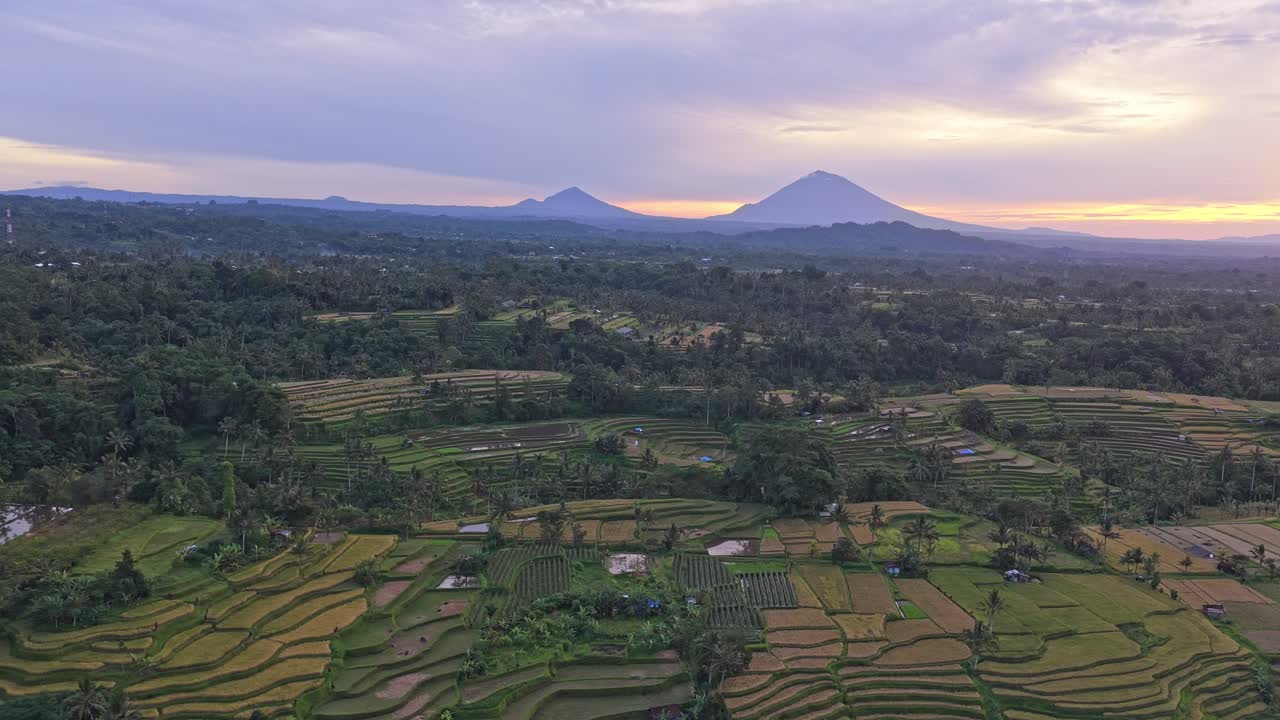 Letecký pohled na rýžové terasy Jatiluwih při východu slunce na Bali