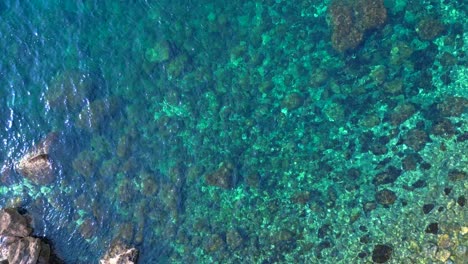 transparent turquoise water flows between rocks in a bay in ibiza, spain. gorgeous aerial view flight vertical bird's eye view drone