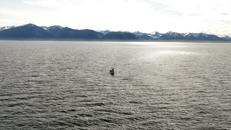 Boat-whale-watching-in-Iceland-large-aerial-shot-snowy-mountains-in-background