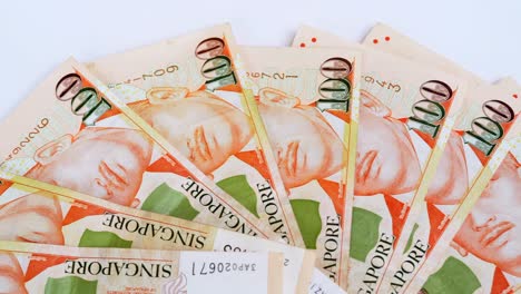 dólar de singapur