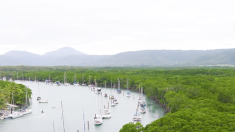 Aerial footage of Port Douglas marina, showcasing boats, lush greenery, and distant mountains under soft daylight