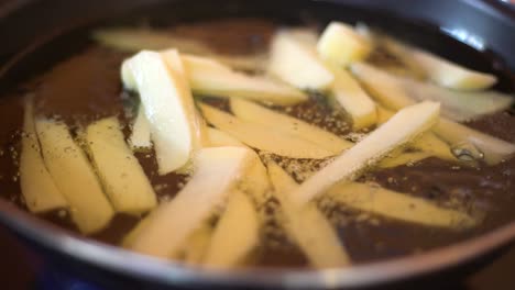 fry the fries in a pan