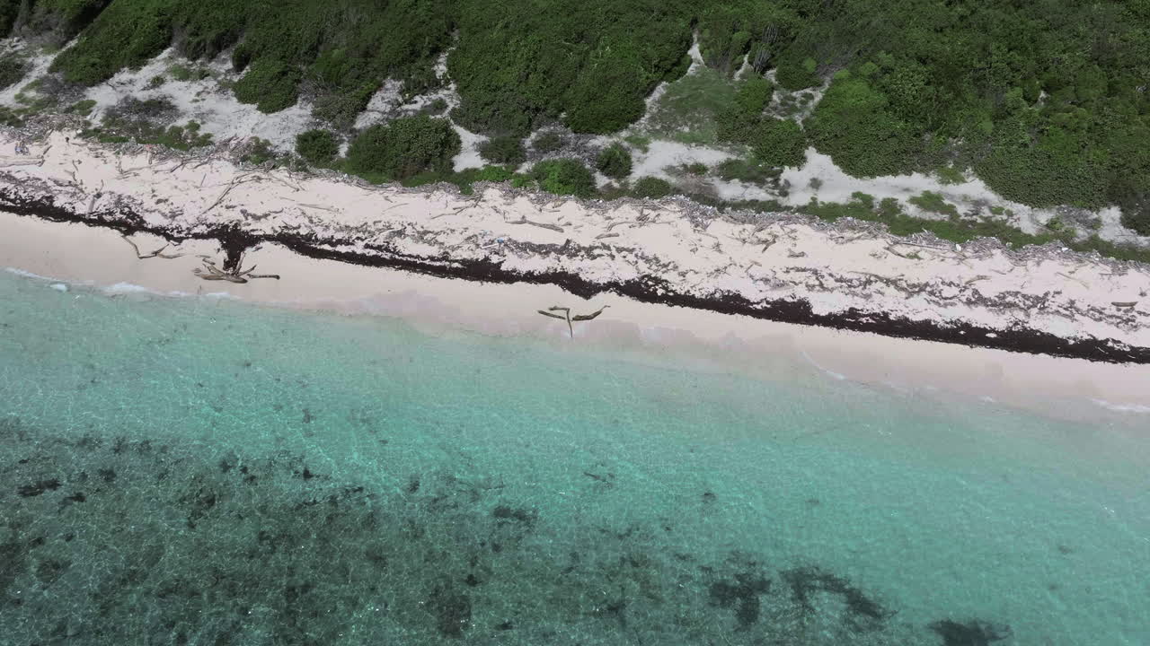 카탈리나 해변의 드론 뷰와 크리스탈 은 바다와 아름다운 모래 해변, 놀라운 카리브 해와 열대 해변, 야생 카탈리나는 섬, 도미니카 공화국, 여름 개념.