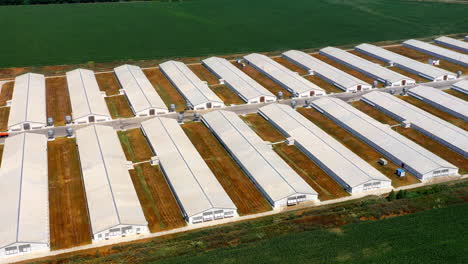 modern farm on field. white barn houses built in rows on agricultural territory. agricultural farming in the countryside. view from above.