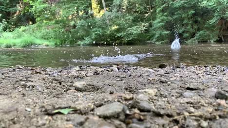 Arrojar-Piedras-A-Una-Corriente-De-Agua-En-Movimiento