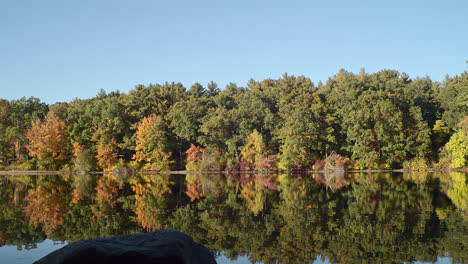 Dichte-Frühherbstbäume-Stehen-über-Einem-Klaren,-Reflektierenden-See,-Während-Die-Kamera-Zu-Einem-Strand-In-Der-Ferne-Schwenkt,-Während-Ein-Stein-Im-Vordergrund-Ein-Gefühl-Für-Die-Perspektive-Vermittelt